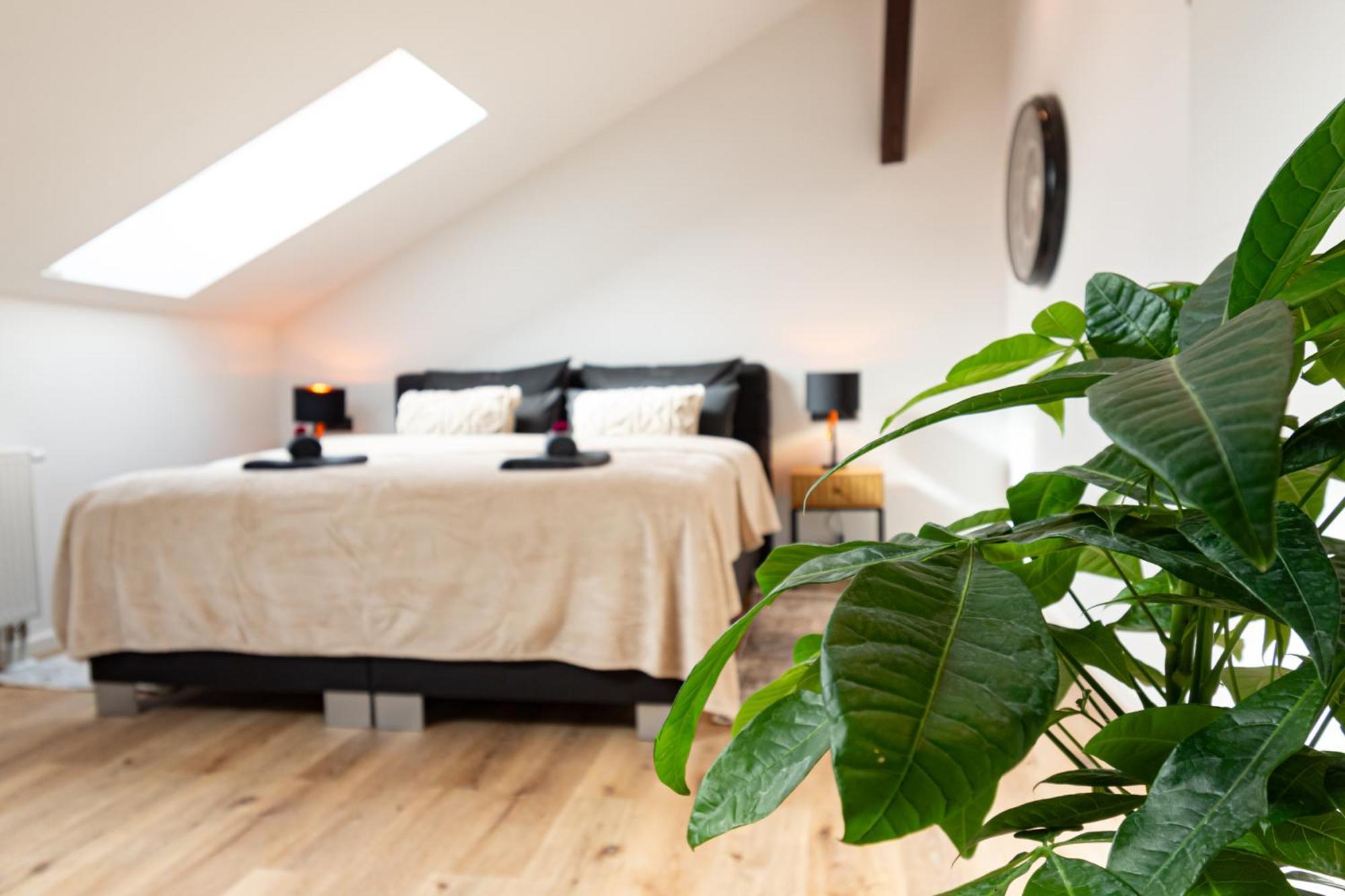Sweethome - Zentral - Kueche & Parkplatz, Wifi Halle  ภายนอก รูปภาพ